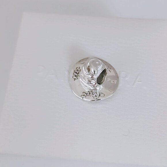 Pandora Harry Potter, Sorting Hat Charm S925 Silver with box - Picture 6 of 7